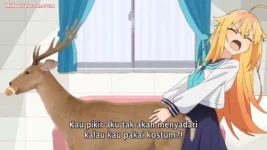 Shikanoko Nokonoko Koshitantan Episode 3 Subtitle Indonesia